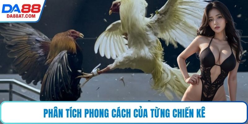 Phân tích phong cách của từng chiến kê
